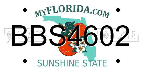 BBS4602 Florida License Plate
