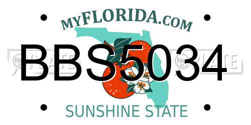 BBS5034 Florida License Plate