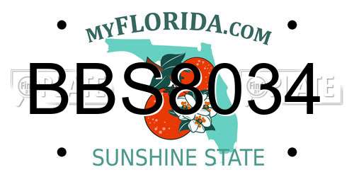 BBS8034 Florida License Plate