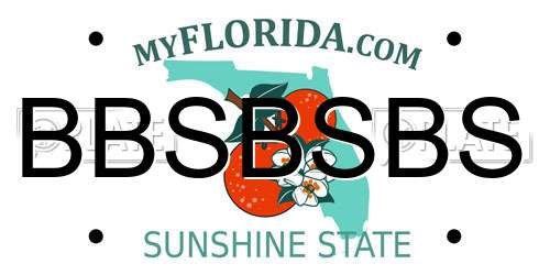 BBSBSBS Florida License Plate