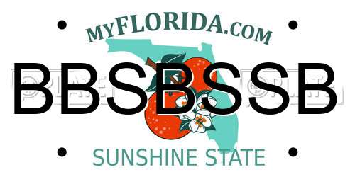 BBSBSSB Florida License Plate