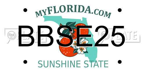 BBSE25 Florida License Plate
