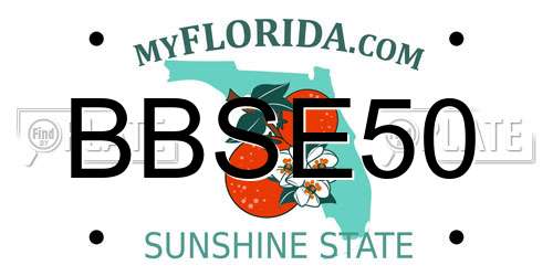 BBSE50 Florida License Plate