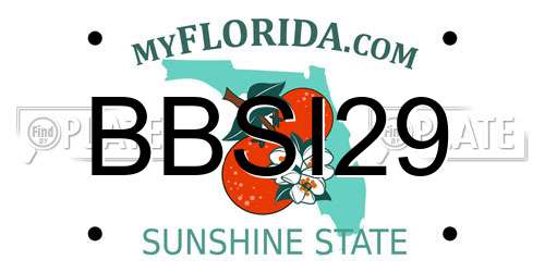 BBSI29 Florida License Plate