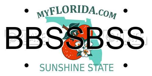 BBSSBSS Florida License Plate