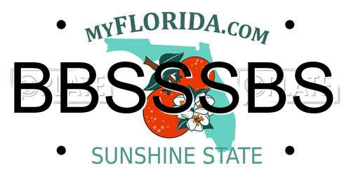 BBSSSBS Florida License Plate