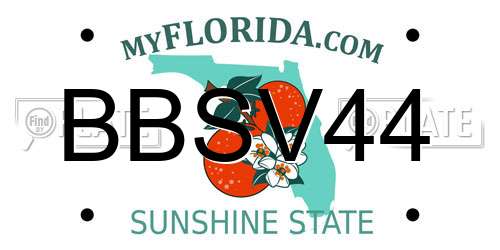 BBSV44 Florida License Plate