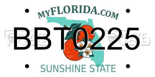 BBT0225 Florida License Plate
