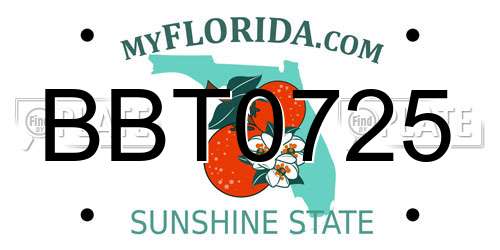 BBT0725 Florida License Plate