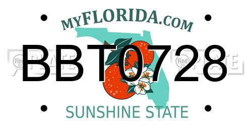 BBT0728 Florida License Plate