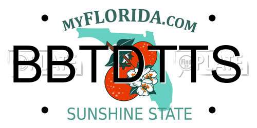 BBTDTTS Florida License Plate