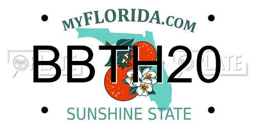 BBTH20 Florida License Plate