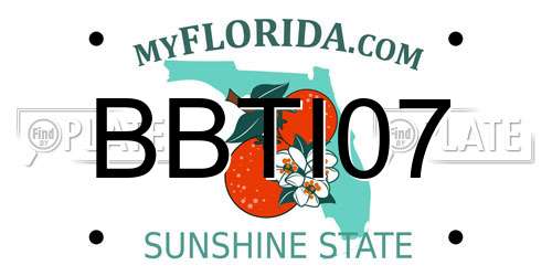 BBTI07 Florida License Plate