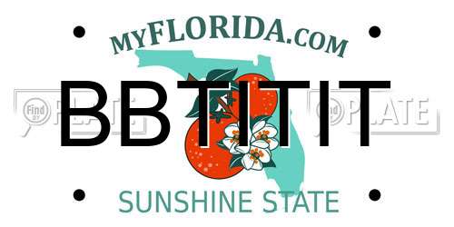 BBTITIT Florida License Plate