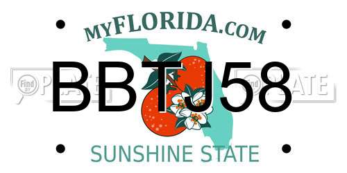 BBTJ58 Florida License Plate