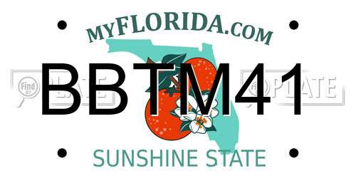 BBTM41 Florida License Plate