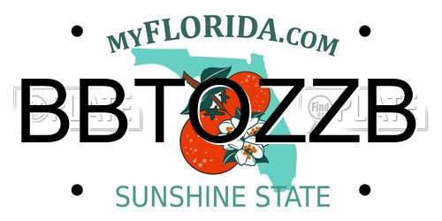 BBTOZZB Florida License Plate