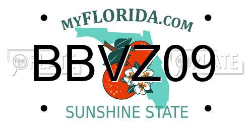 BBVZ09 Florida License Plate