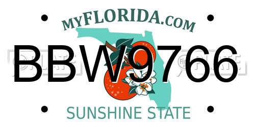 BBW9766 Florida License Plate