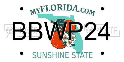 BBWP24 Florida License Plate