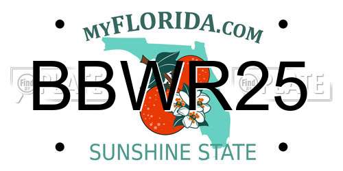 BBWR25 Florida License Plate