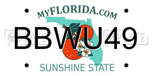 BBWU49 Florida License Plate