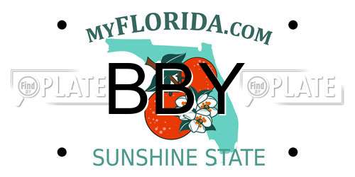 BBY Florida License Plate