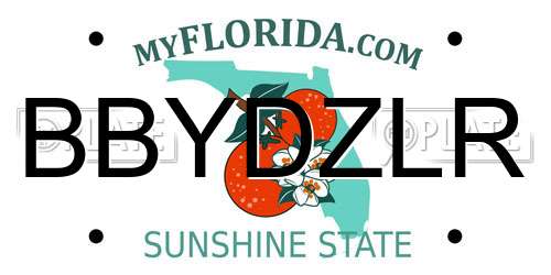 BBYDZLR Florida License Plate