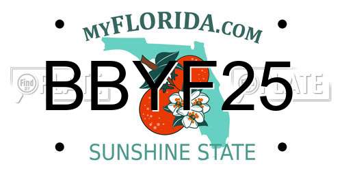 BBYF25 Florida License Plate