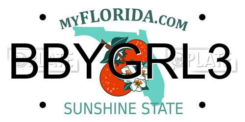 BBYGRL3 Florida License Plate