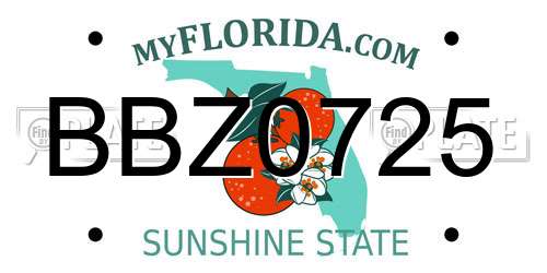 BBZ0725 Florida License Plate