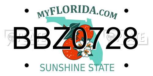 BBZ0728 Florida License Plate