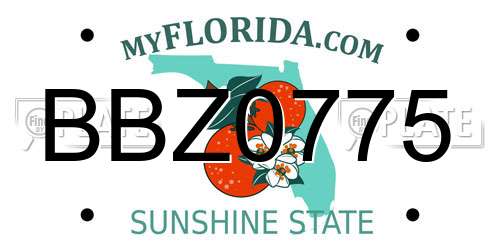 BBZ0775 Florida License Plate