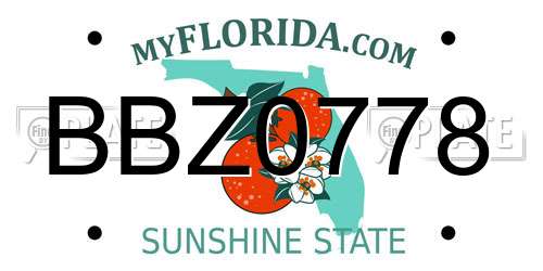 BBZ0778 Florida License Plate