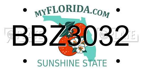 BBZ3032 Florida License Plate