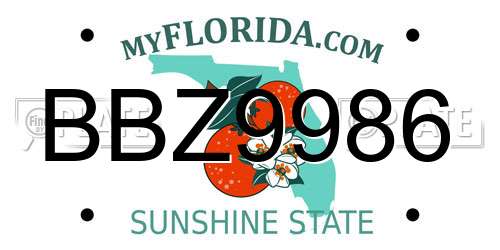 BBZ9986 Florida License Plate