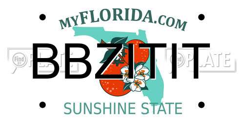 BBZITIT Florida License Plate