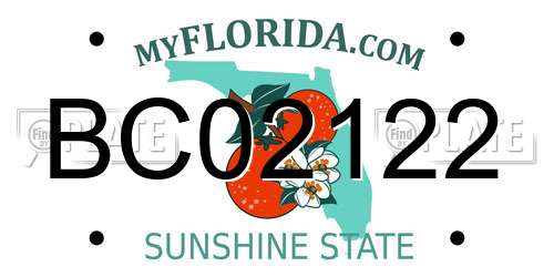 BC02122 Florida License Plate