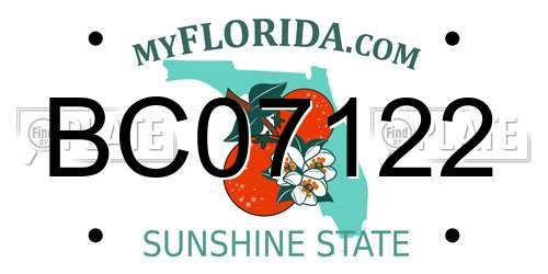BC07122 Florida License Plate