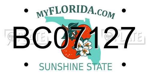 BC07127 Florida License Plate