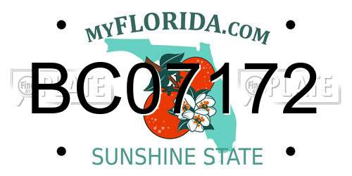 BC07172 Florida License Plate