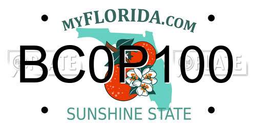 BC0P100 Florida License Plate