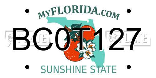 BC0T127 Florida License Plate