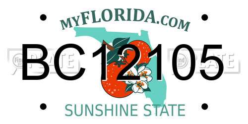 BC12105 Florida License Plate
