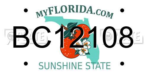 BC12108 Florida License Plate