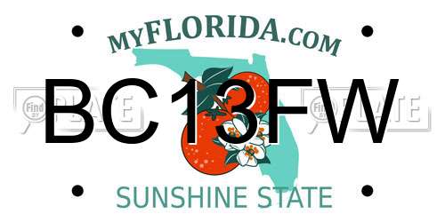 BC13FW Florida License Plate