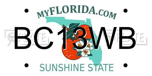 BC13WB Florida License Plate