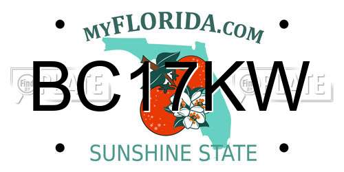 BC17KW Florida License Plate