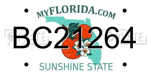 BC21264 Florida License Plate