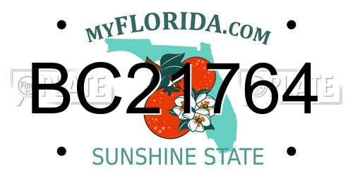 BC21764 Florida License Plate